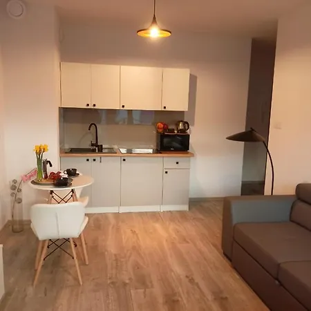 Z Sauna I Jacuzzi Appartement Radom