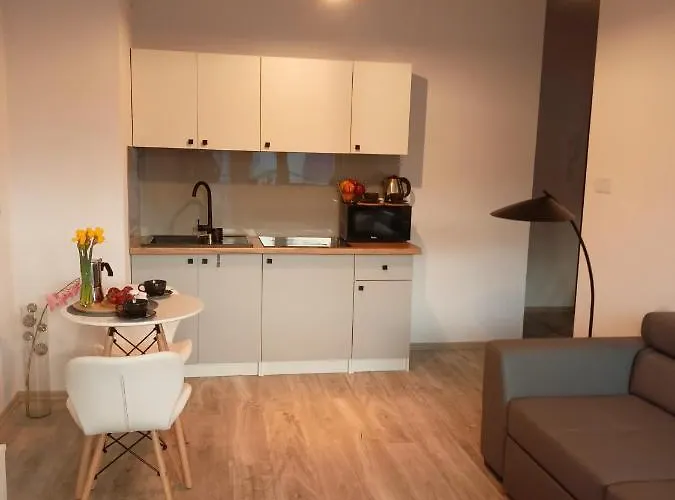 Z Sauna I Jacuzzi 公寓 拉多姆